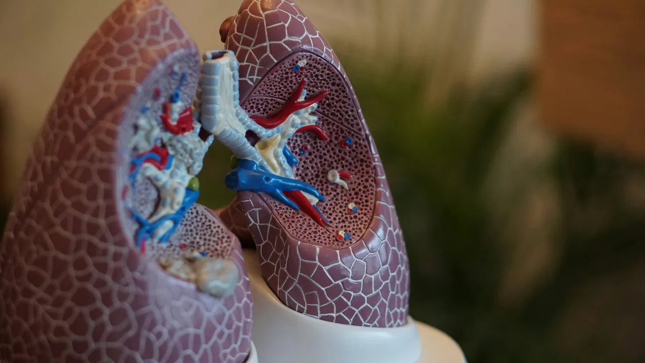 Attenzione alla polmonite: ecco i sintomi da non sottovalutare se hai tosse secca