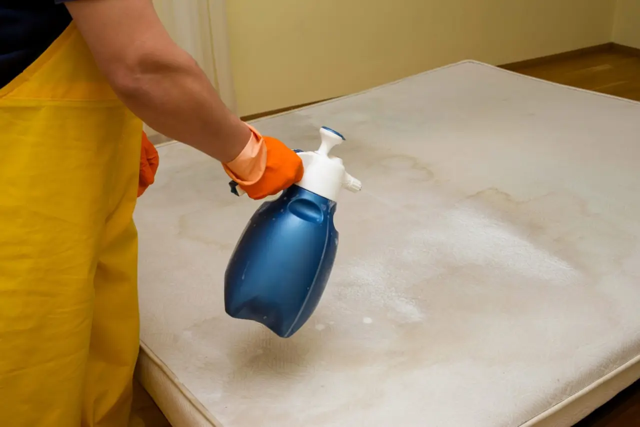 Il prodotto naturale potente che disinfetta e pulisce il materasso eliminando acari e batteri