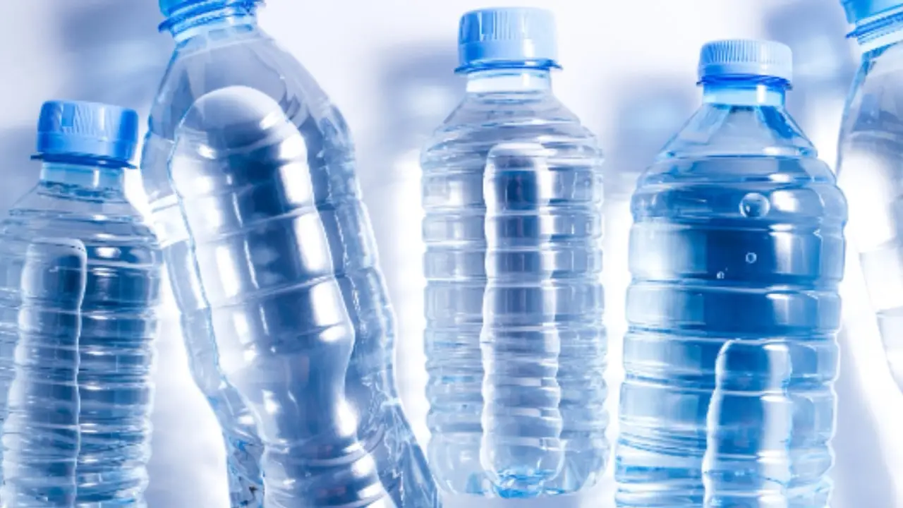 Il trucco delle bottiglie d’acqua per allontanare i gatti funziona davvero? Ecco la verità