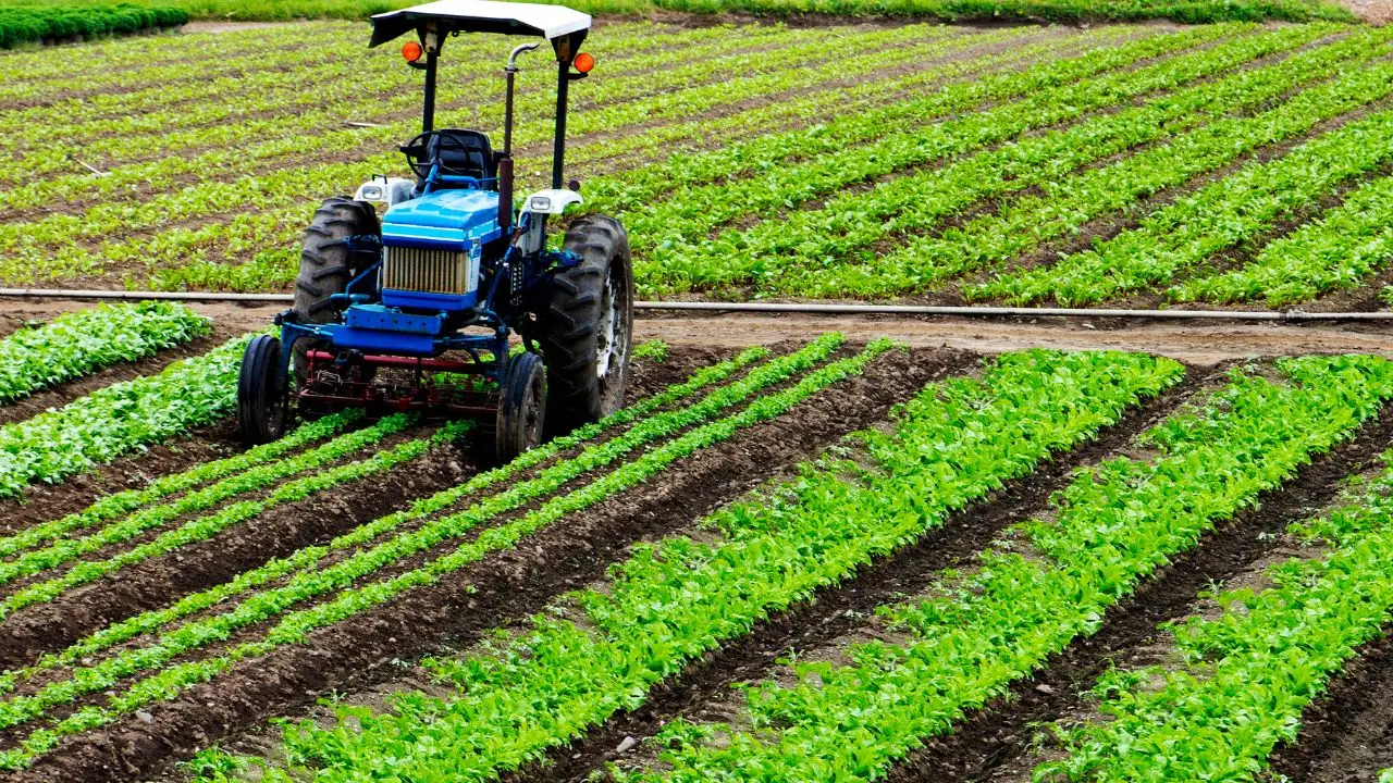 Non solo aratro: ecco gli attrezzi del trattore che hanno rivoluzionato il lavoro nei campi